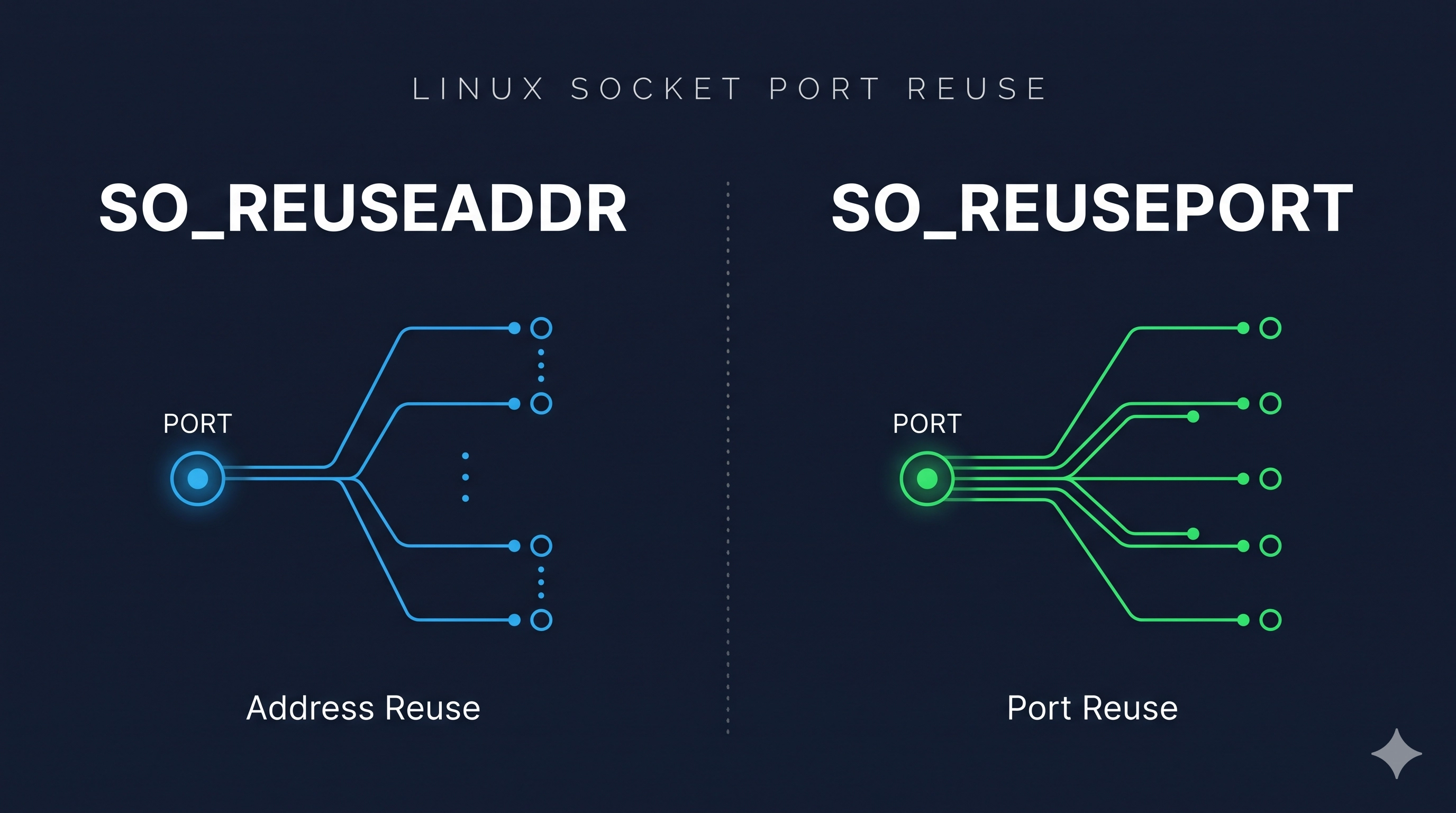 Linux Socket Port Reuse: SO_REUSEADDR vs. SO_REUSEPORT for High-Availability Services